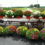 Orr's Farm Market photo