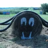 Orr's Farm Market photo