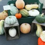 Orr's Farm Market photo