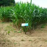 Orr's Farm Market photo