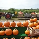 Orr's Farm Market photo