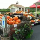 Orr's Farm Market photo