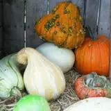 Orr's Farm Market photo