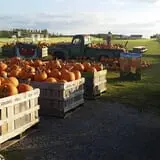 Orr's Farm Market photo