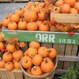 Orr's Farm Market photo