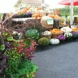 Orr's Farm Market photo