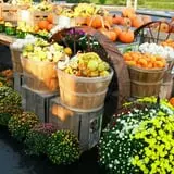 Orr's Farm Market photo