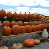 Orr's Farm Market photo