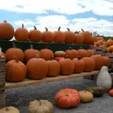 Orr's Farm Market photo