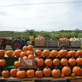 Orr's Farm Market photo