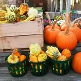 Orr's Farm Market photo