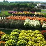 Orr's Farm Market photo