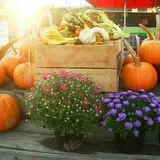 Orr's Farm Market photo