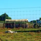 Orr's Farm Market photo
