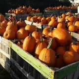Orr's Farm Market photo