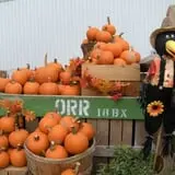 Orr's Farm Market photo
