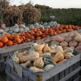 Orr's Farm Market photo