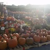 Orr's Farm Market photo