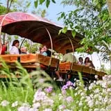 Arbor Day Farm photo