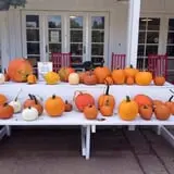 Arbor Day Farm photo
