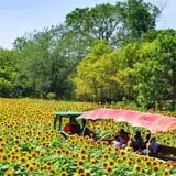Arbor Day Farm photo