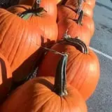 Spears Farm Stand photo