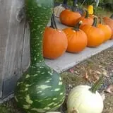 Spears Farm Stand photo