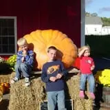 Spears Farm Stand photo