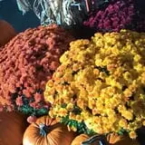 Spears Farm Stand photo