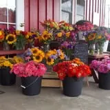 Spears Farm Stand photo