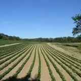 Spears Farm Stand photo