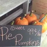 Spears Farm Stand photo