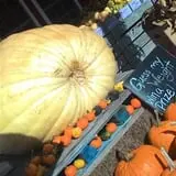 Spears Farm Stand photo