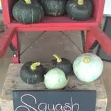 Spears Farm Stand photo