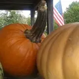 Spears Farm Stand photo