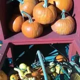 Spears Farm Stand photo