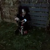 Trepidation Acres photo