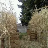 Trepidation Acres photo