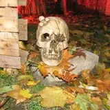 Trepidation Acres photo