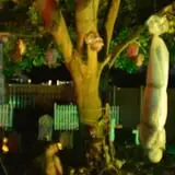 Trepidation Acres photo