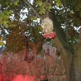 Trepidation Acres photo