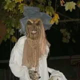 Trepidation Acres photo
