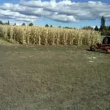 Trepidation Acres photo