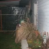 Trepidation Acres photo
