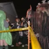 Trepidation Acres photo