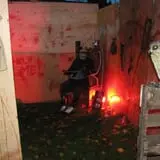Trepidation Acres photo