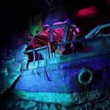 Fear Overload Scream Park photo