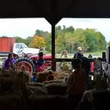 Wolfe's Neck Farm photo