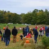 Wolfe's Neck Farm photo