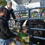 Wolfe's Neck Farm photo